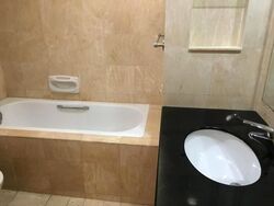 Seletaris (D27), Condominium #586813351